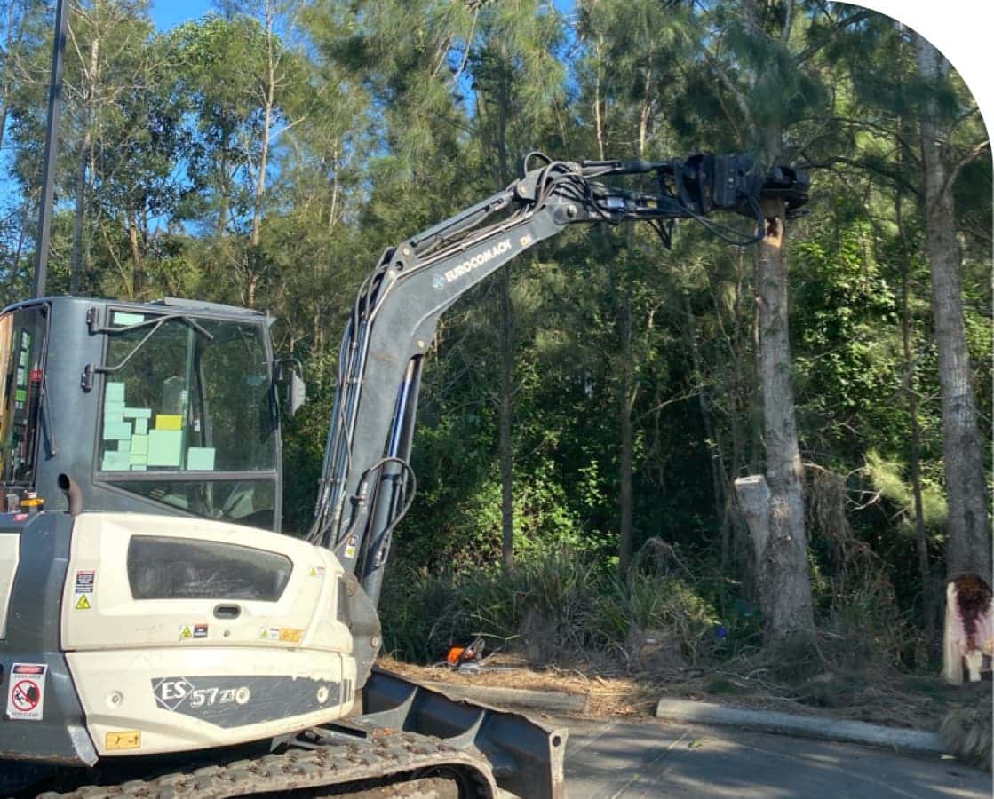 Bushfire Safety Clearing — Tree Removal & Land Clearing In North Avoca, NSW