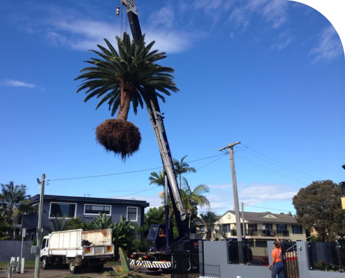 Excavation — Tree Removal & Land Clearing In Killcare, NSW