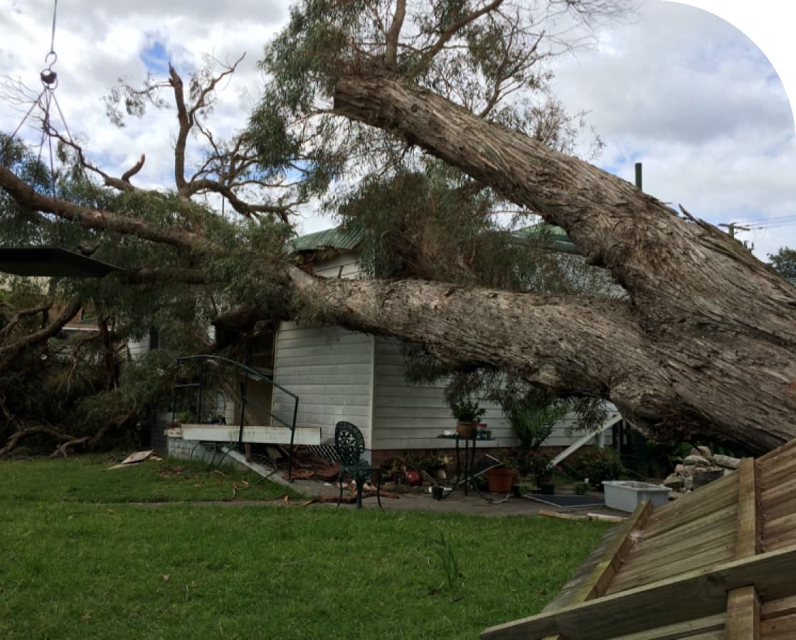 Storm Damage — Tree Removal & Land Clearing In Central Coast, NSW