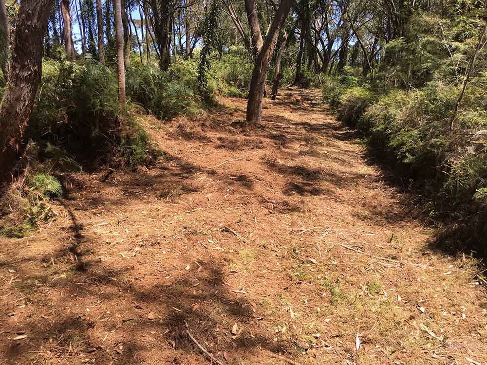 Firebreak — Tree Removal & Land Clearing In Central Coast, NSW