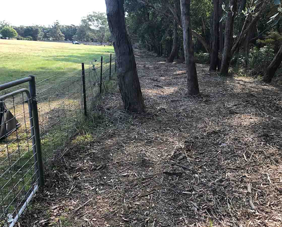 Bushfire Safety Clearing — Tree Removal & Land Clearing In Central Coast, NSW