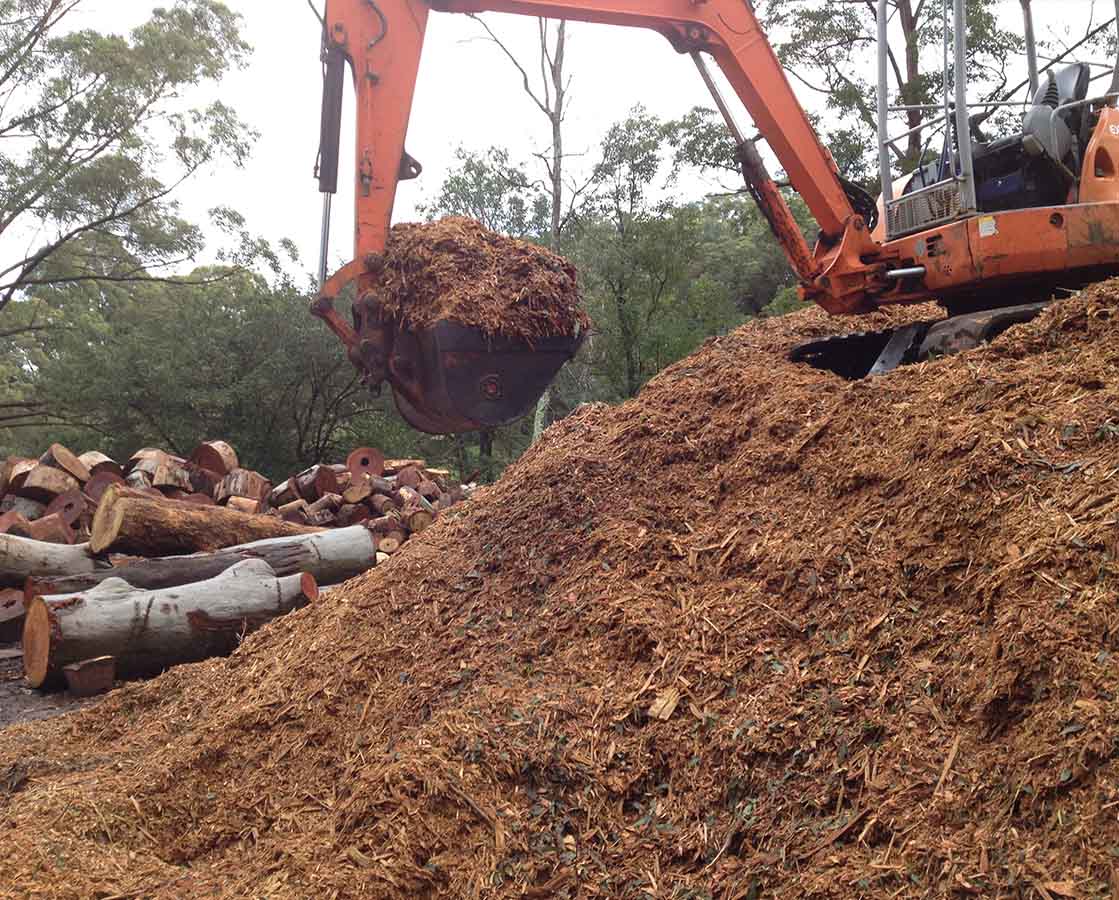 Mulch and Firewood — Tree Removal & Land Clearing In Central Coast, NSW