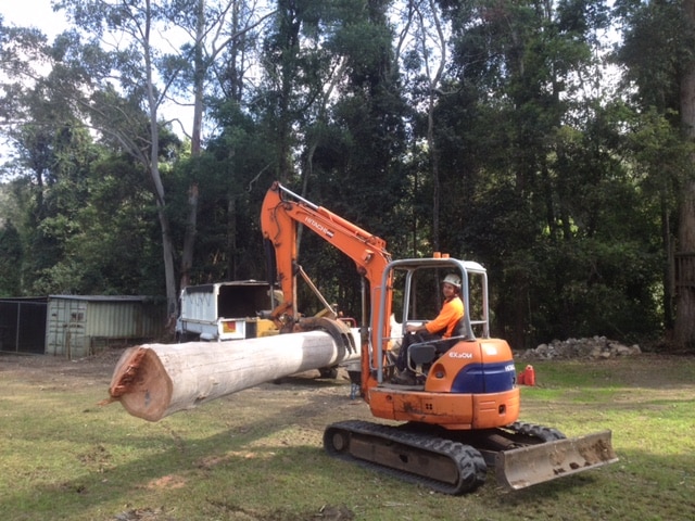 Excavating Machine Holding a Big Tree Trunk — Tree Stump Removal Central Coast, NSW