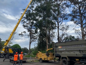 Team Working on Tree Cutting — Tree Removal & Land Clearing In Ourimbah, NSW