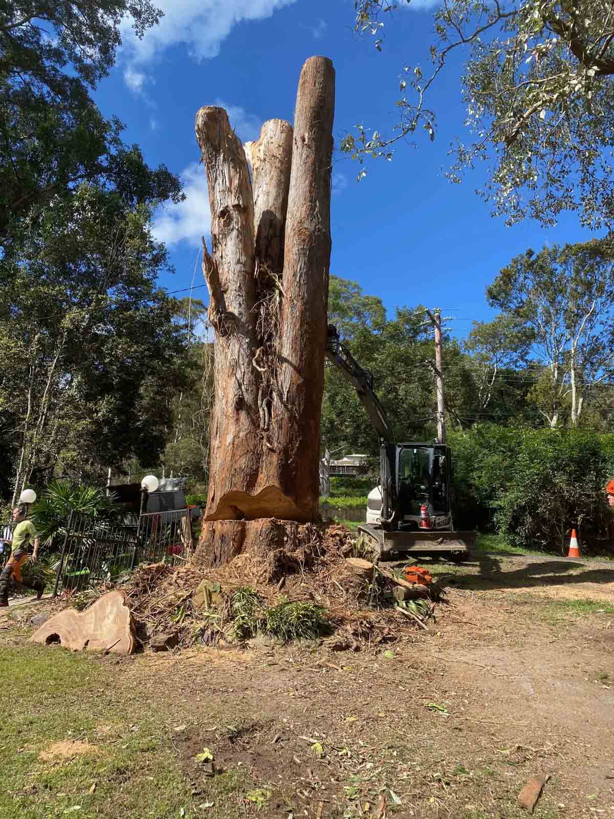 Excavator Removing a Trees — Tree Removal & Land Clearing in Matcham, NSW