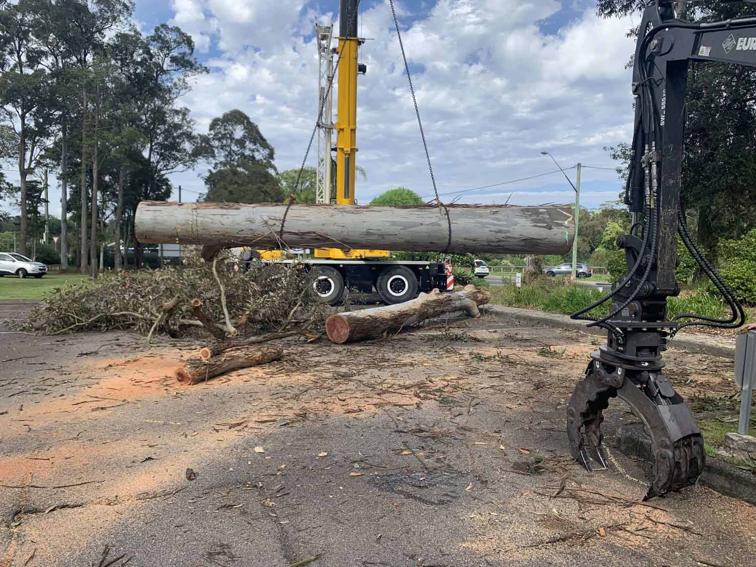 Excavator in the Park — Tree Removal & Land Clearing in Matcham, NSW