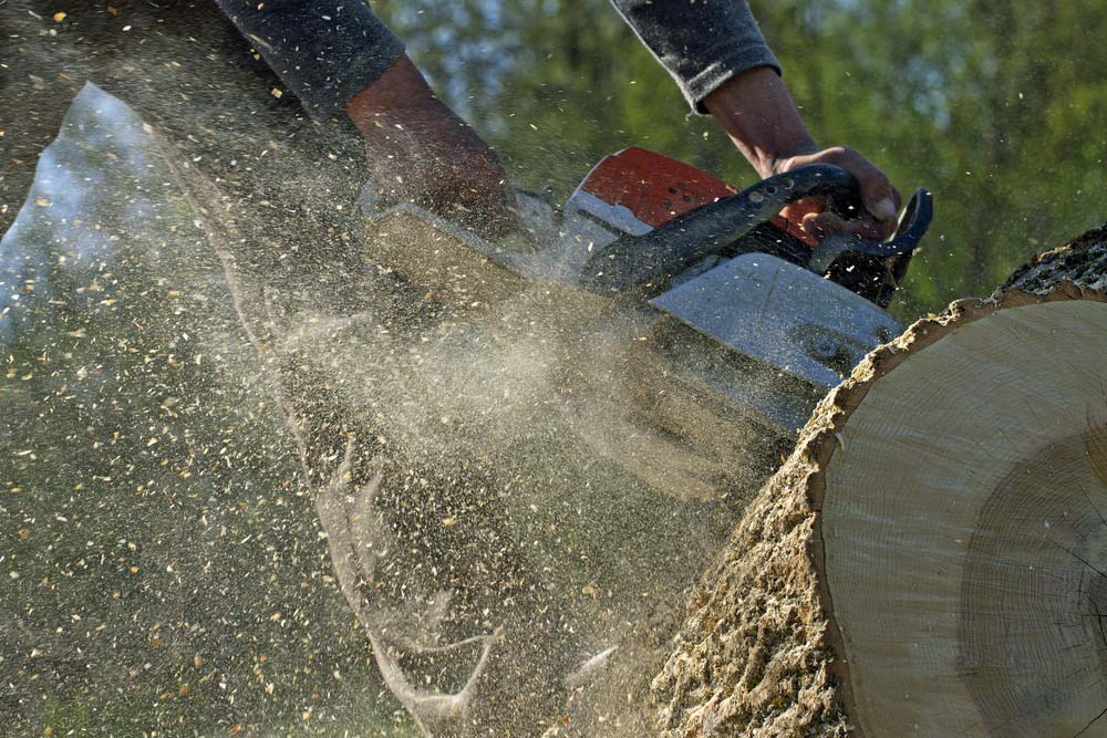 Man Cuts A Tree that had been removed from a Central Coast property