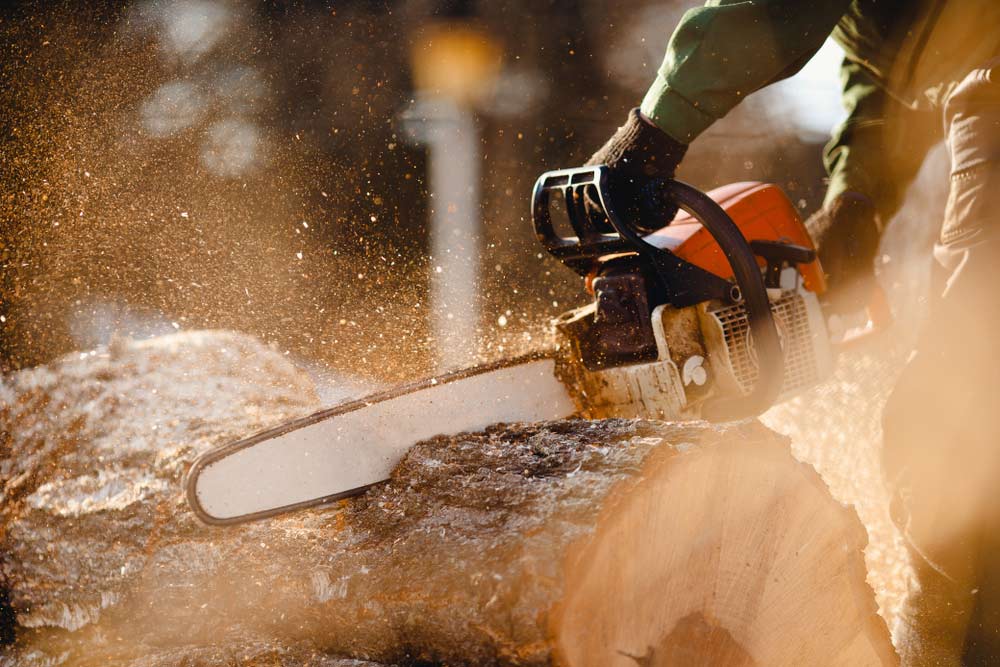 Arborist Cutting A Tree With A Chainsaw