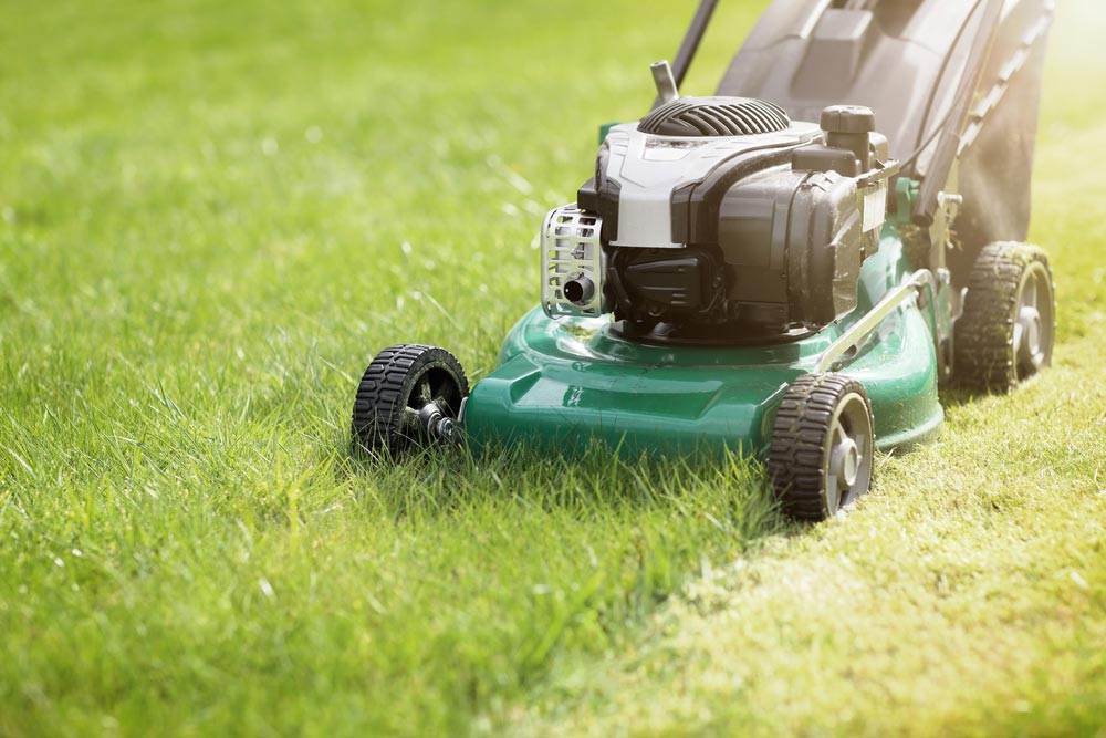 Green Lawnmower Being Used On Garden