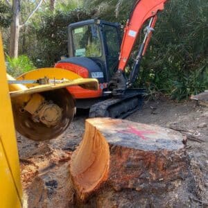 Using A Tree Stump Grinder To Remove A Tree Stump