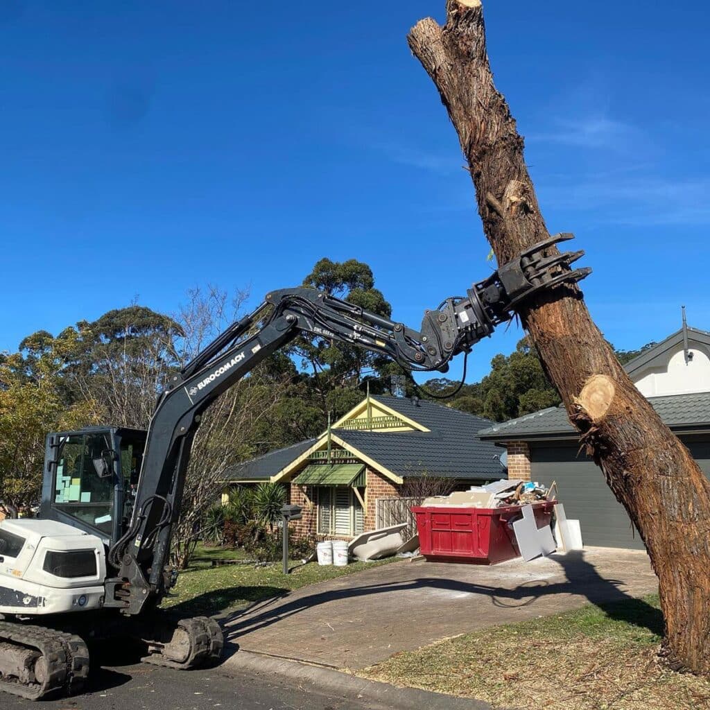 Cutting A Tree That's Leaning On The Driveway