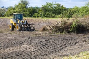 A Bushfire Safety Land Clearing