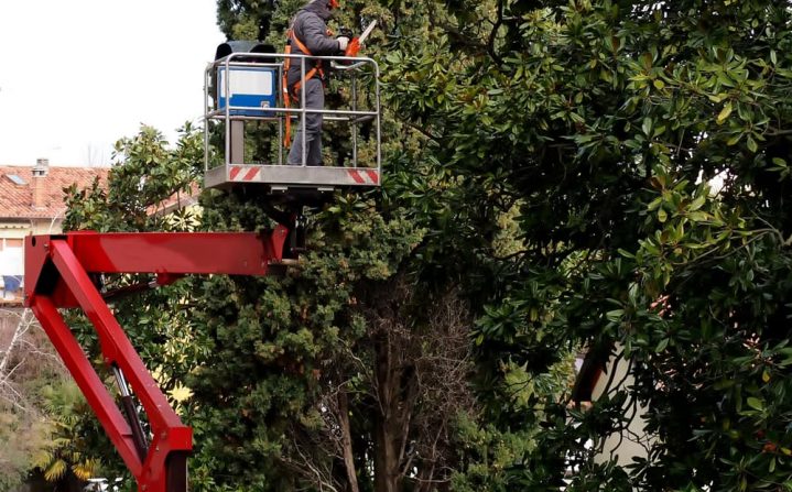 Men on crane cutting tree — Tree Removal & Land Clearing in Somersby, NSW