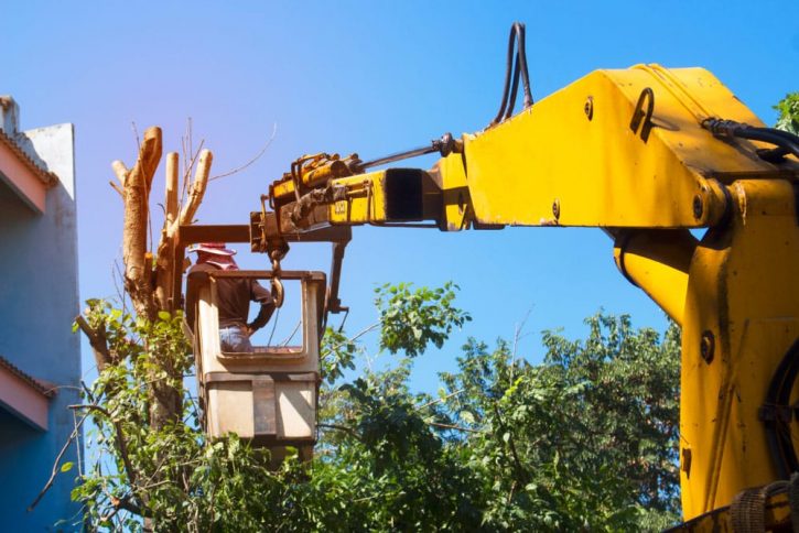 Cutting Tall Trees Near Buildings Using Cranes — Tree Removal & Land Clearing in Somersby, NSW