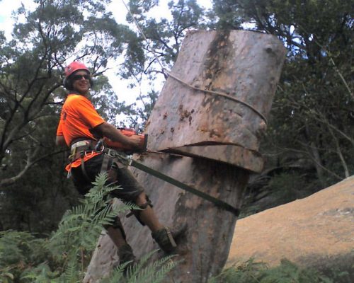 Tree Cutting Using Chainsaw — Tree Removal & Land Clearing In Central Coast, NSW