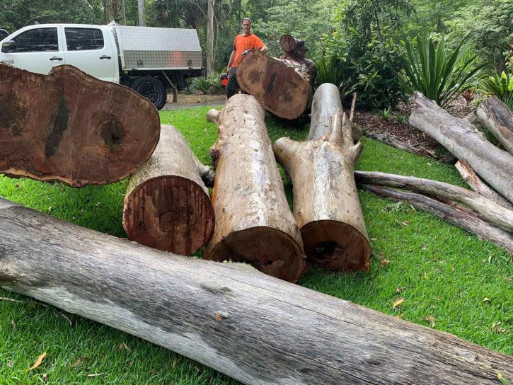 Logging Trees — Tree Removal & Land Clearing in Matcham, NSW