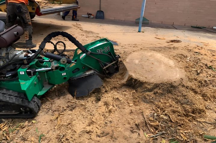 A Tree Stump Removal Service