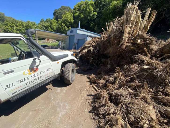 Business Service — Tree Removal & Land Clearing in North Avoca, NSW