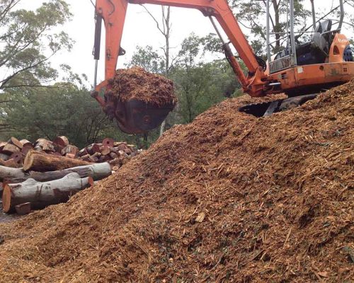 Excavation Machine Clearing the Field — Tree Removal & Land Clearing In Central Coast, NSW