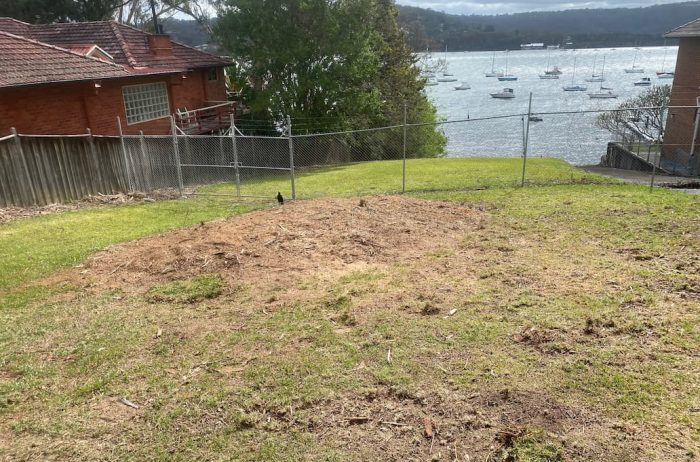 Lot free of tree stump — Tree Stump Removal Central Coast, NSW