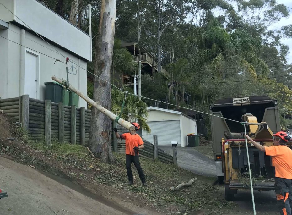 Tree Branch Attached to Rope — Tree Removal & Land Clearing In Bateau Bay, NSW
